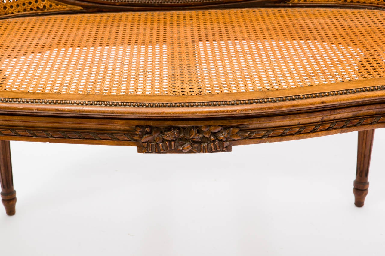 19th Century French Double Caned Settee