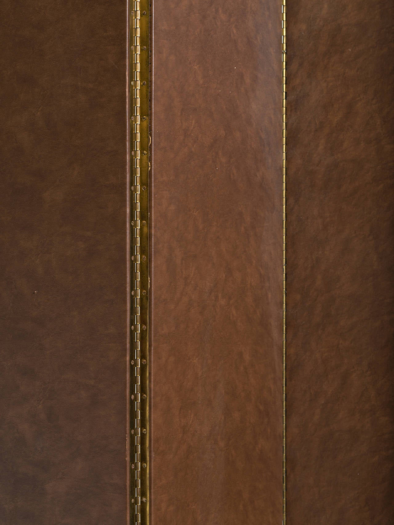 Leather and Brass Nail Head Screen 2