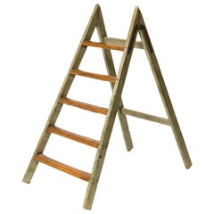 Used Style Ladder