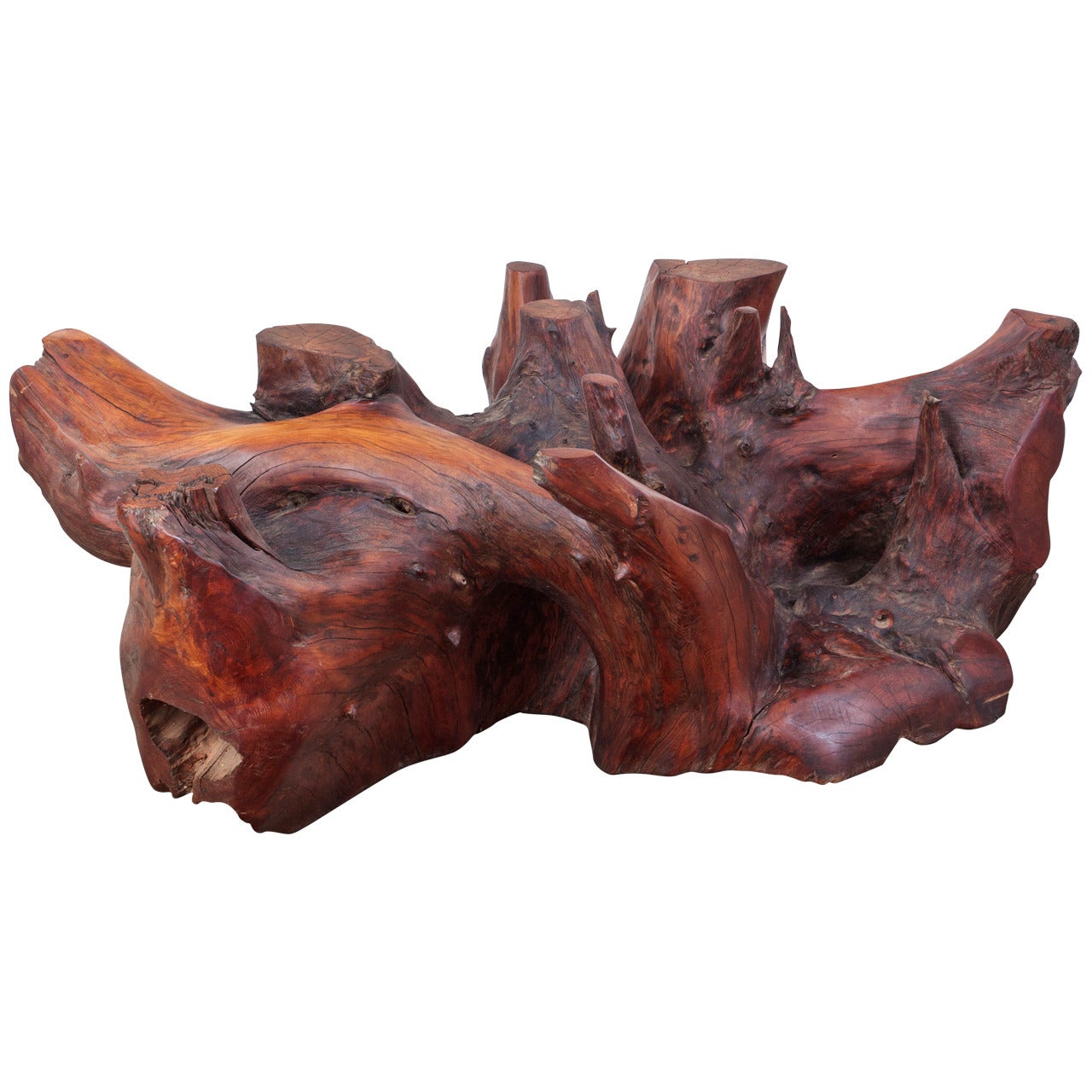 Port Orford Cedar Driftwood Coffee Table at 1stDibs