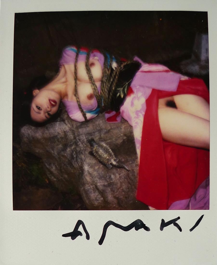 Nobuyoshi Araki bondage Polaroid with Dinosaur, signed, from the
late 90ies. Mounted carefully and framed.
Provenience: Hayato Yoshihiro, Collectors Prints, Tokyo. Comes with his
confirmation letter.
Compare: Nobuyoshi Araki, Polaeroid (sic!) ,
