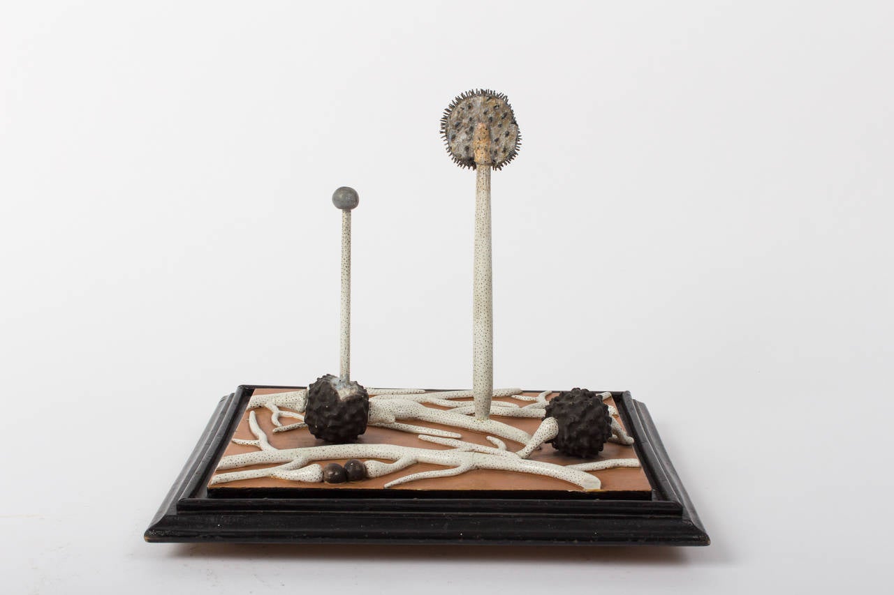 Late 19th Century Mold Spores Model by Reinhold Brendel, circa 1900 For Sale