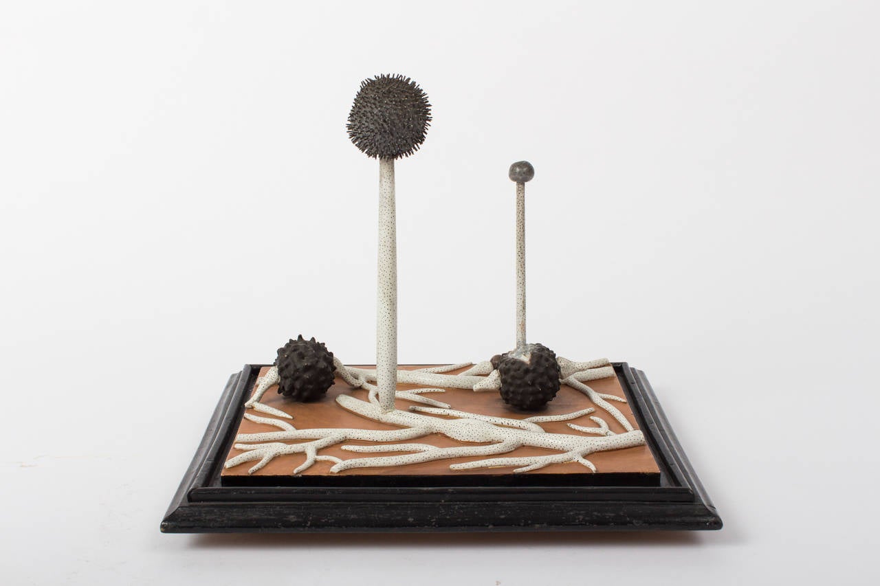 Mold Spores Model by Reinhold Brendel, circa 1900 In Excellent Condition For Sale In Vienna, Vienna