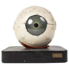 Model of the Human Eye