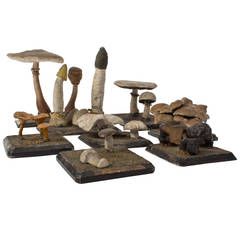 Eight 19th Century Mushroom Models