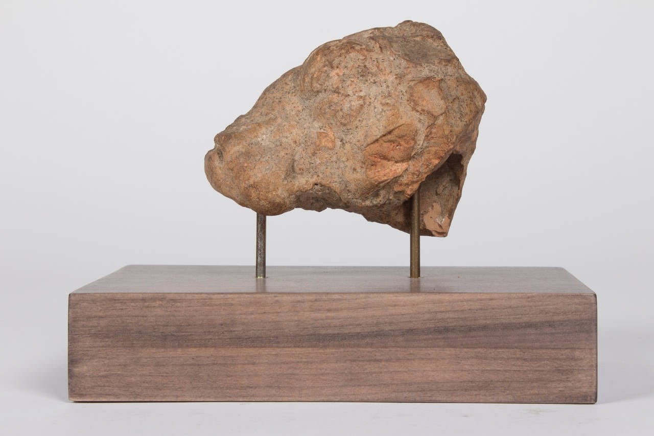 Turkish An Ancient Greek Terracotta Bull Head 600-300 BC. For Sale