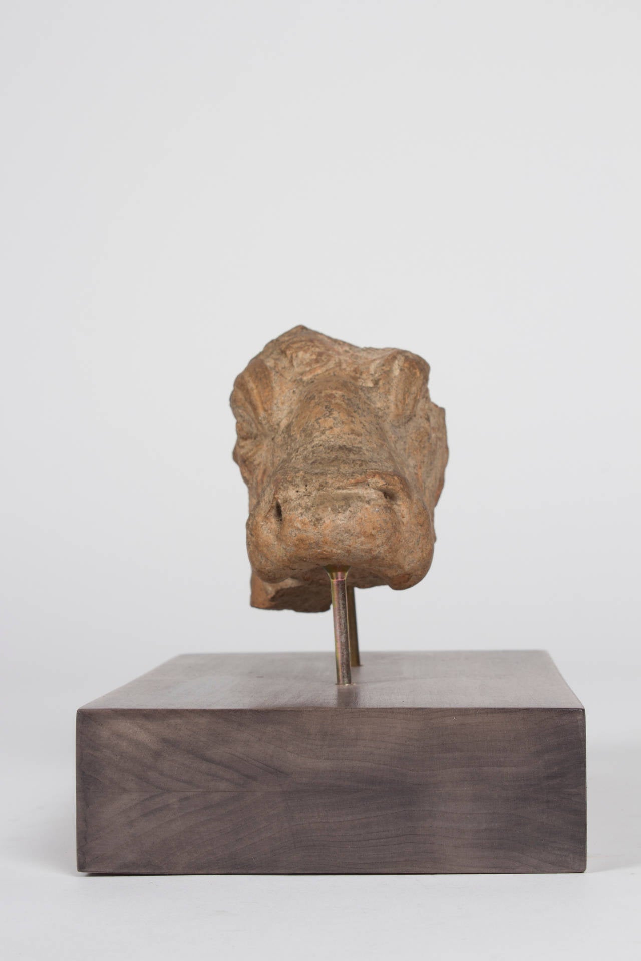 18th Century and Earlier An Ancient Greek Terracotta Bull Head 600-300 BC. For Sale