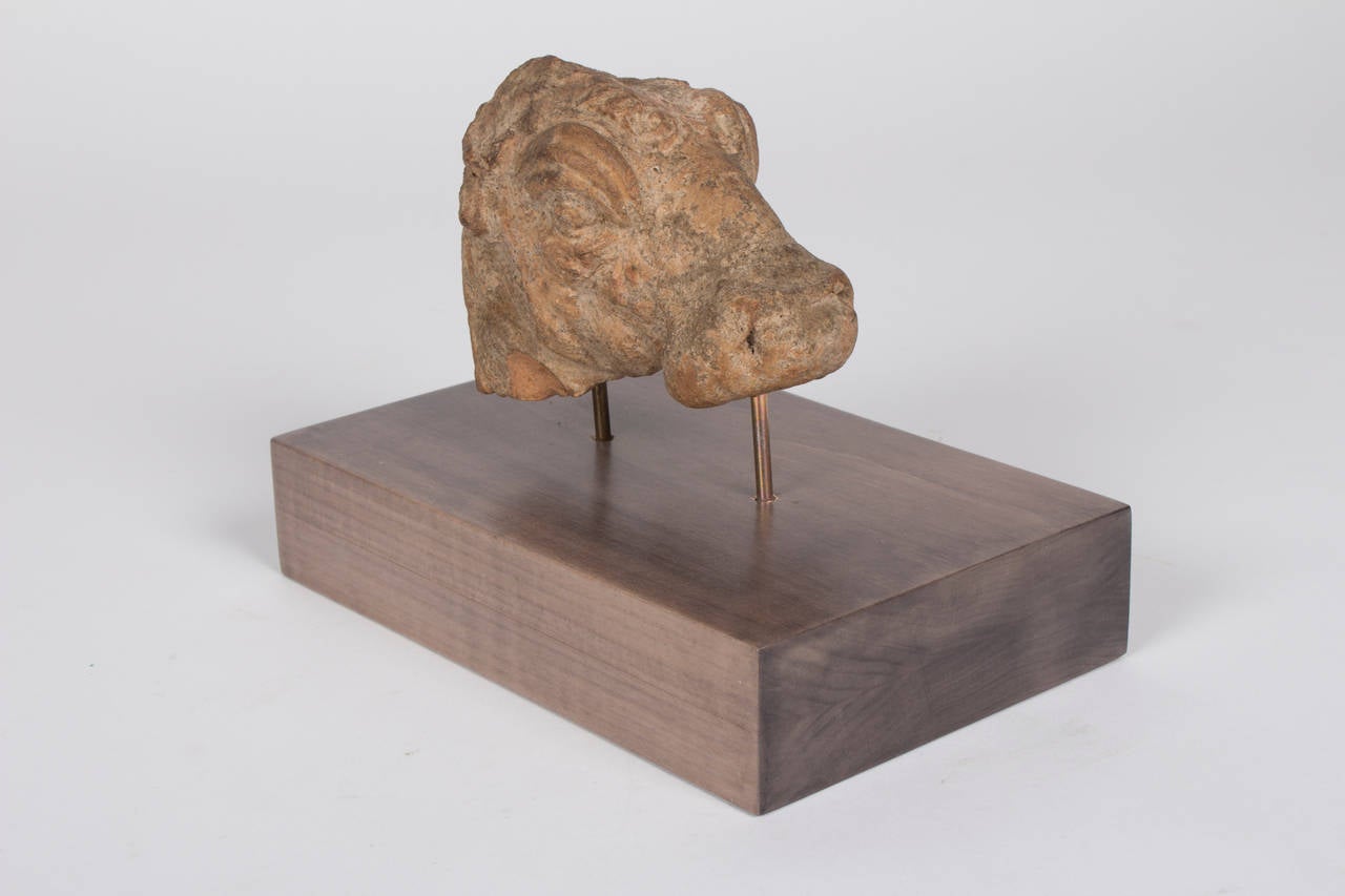 This hellenistic bull head is a characteristic and beautifully worked example of Greek art. Its vaulted nostrils, the strong nose bridge and features as the tight curls or the amygdaloid eyes with the tripartite brows enable a clear