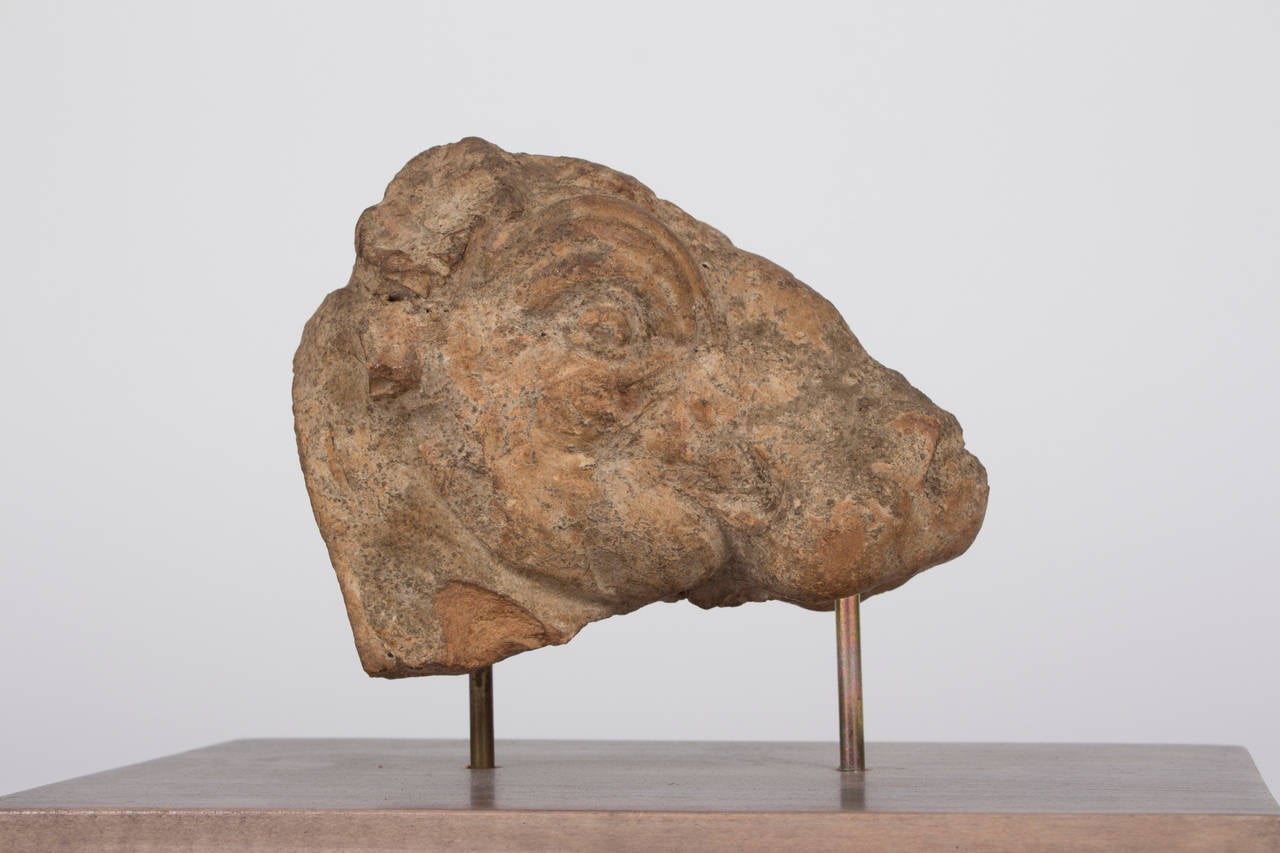 An Ancient Greek Terracotta Bull Head 600-300 BC. In Good Condition For Sale In Vienna, Vienna