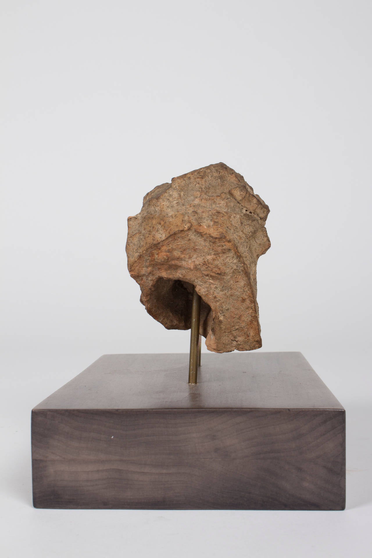 An Ancient Greek Terracotta Bull Head 600-300 BC. For Sale 2