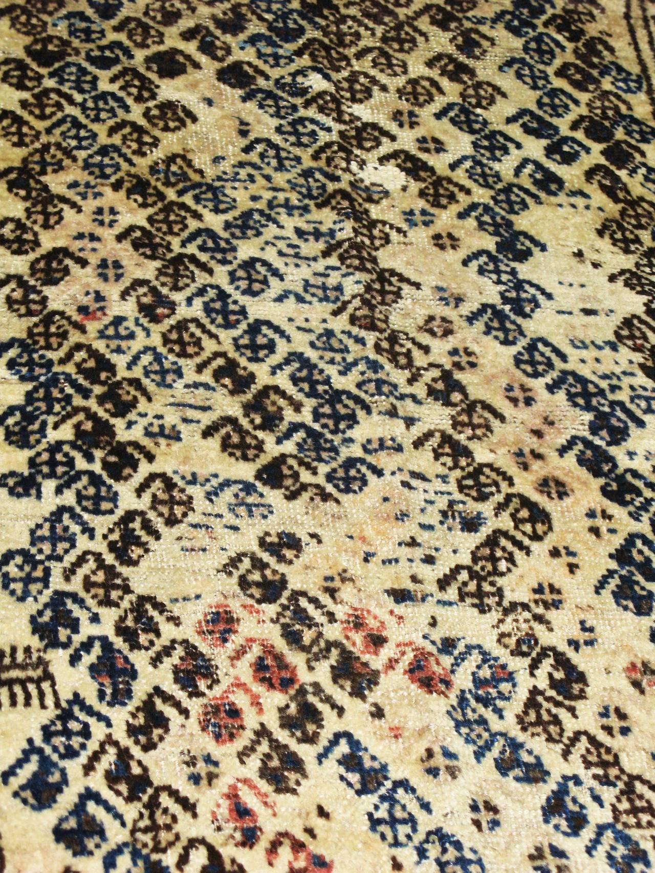 19th Century Antique Belouch Tribal  Rug, 1900s,  2'7