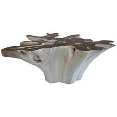 Andrianna Shamaris Huge Organic Table Base with Bleach and Polished Finish
