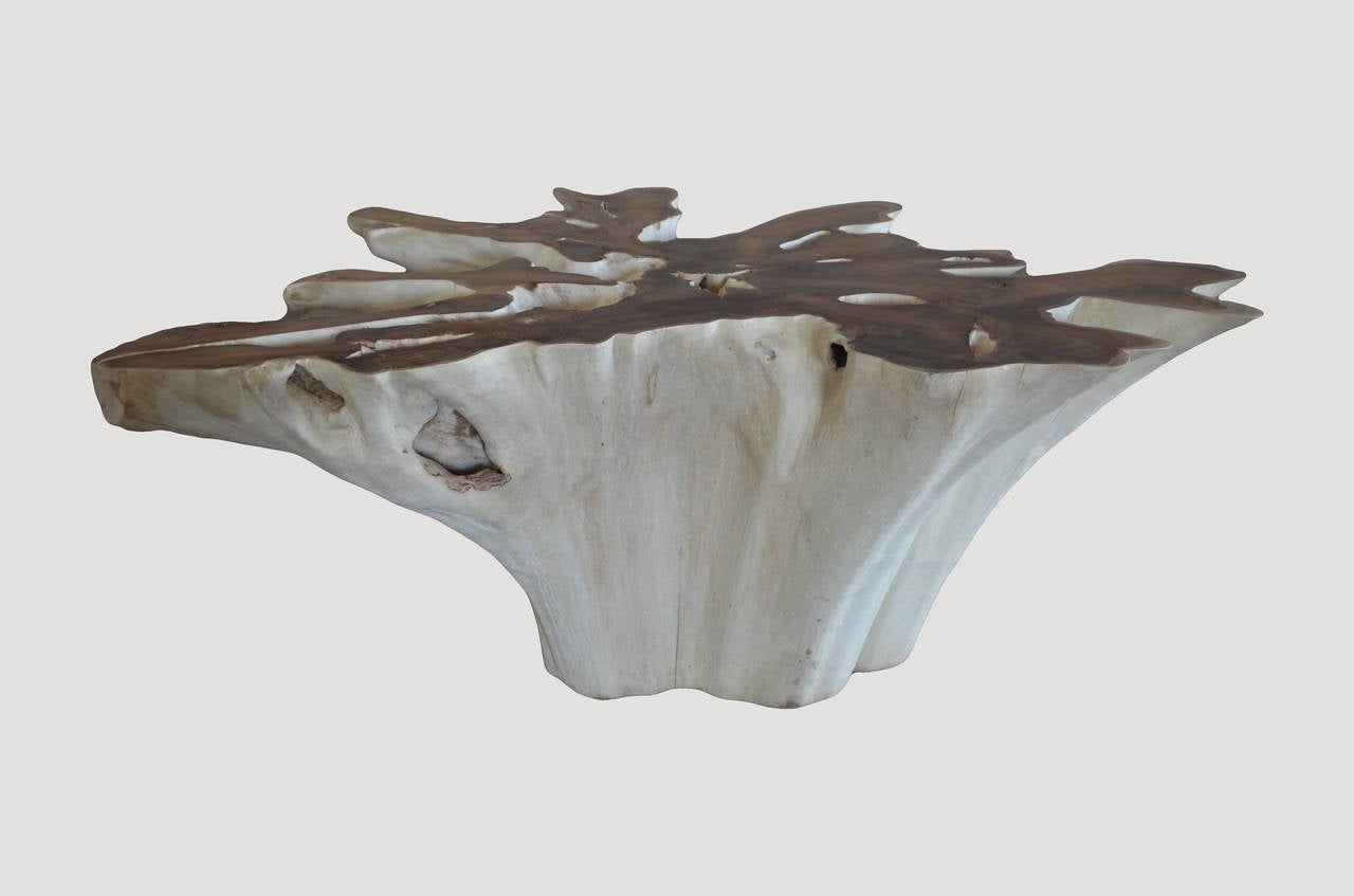 Fabulous organic teak wood table base. The root is bleached white whilst the top has been polished to reveal natural teak wood. Great with either a glass or Lucite top.

Andrianna Shamaris, Inc. The Leader In Modern Organic Design™