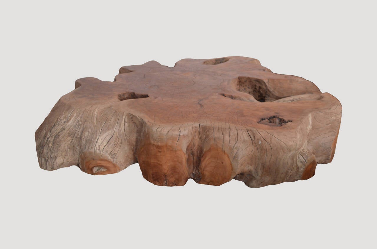 Organic Modern Large Root Mahoni Wood Coffee Table