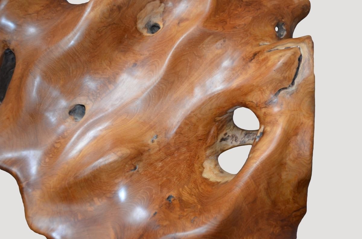 Andrianna Shamaris, sculpture de racines en bois de teck sur socle moderne en acier Excellent état - En vente à New York, NY