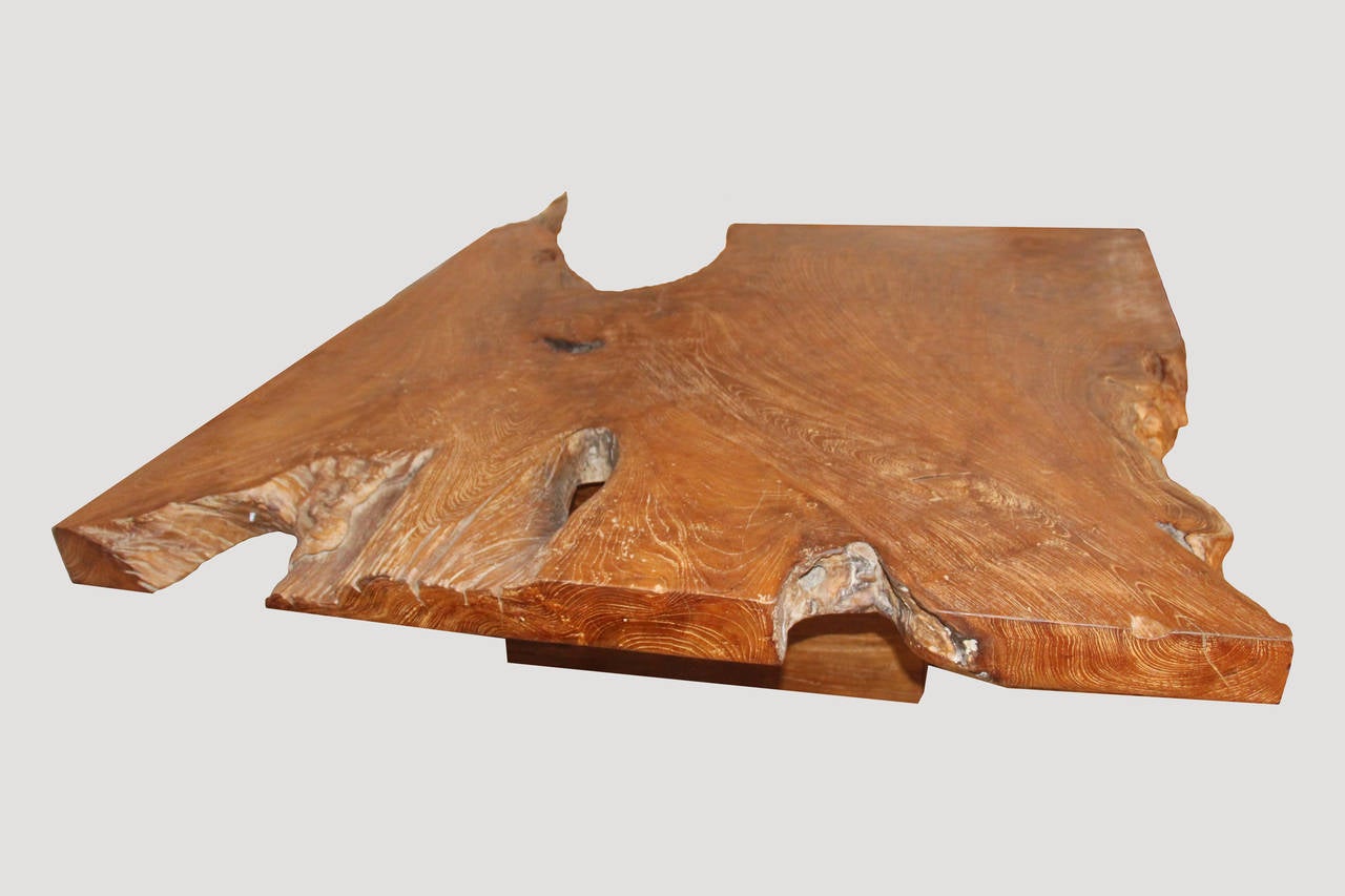 Organic Modern Andrianna Shamaris Single Slab-Top Organic Teak Wood Coffee Table