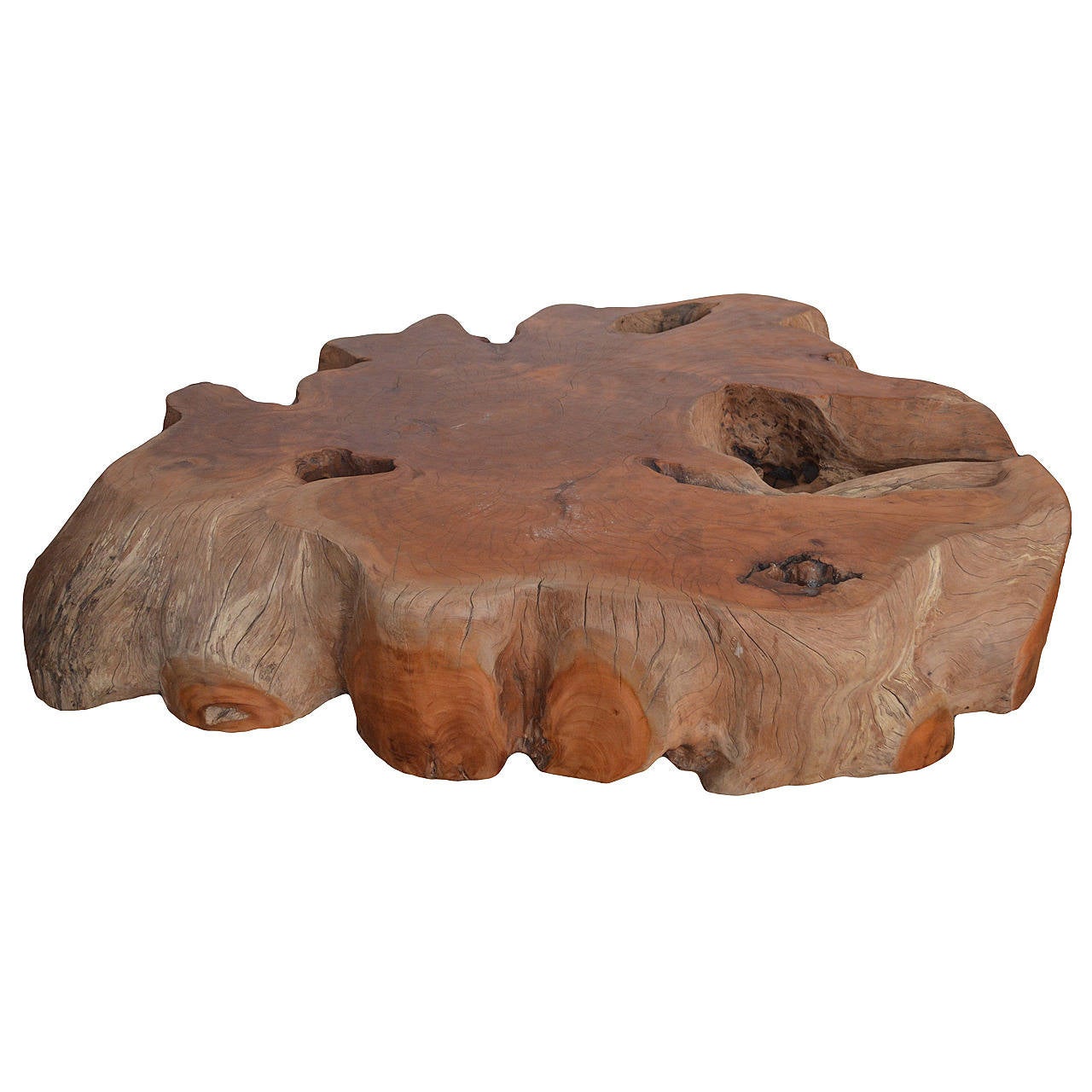 Large Root Mahoni Wood Coffee Table at 1stDibs