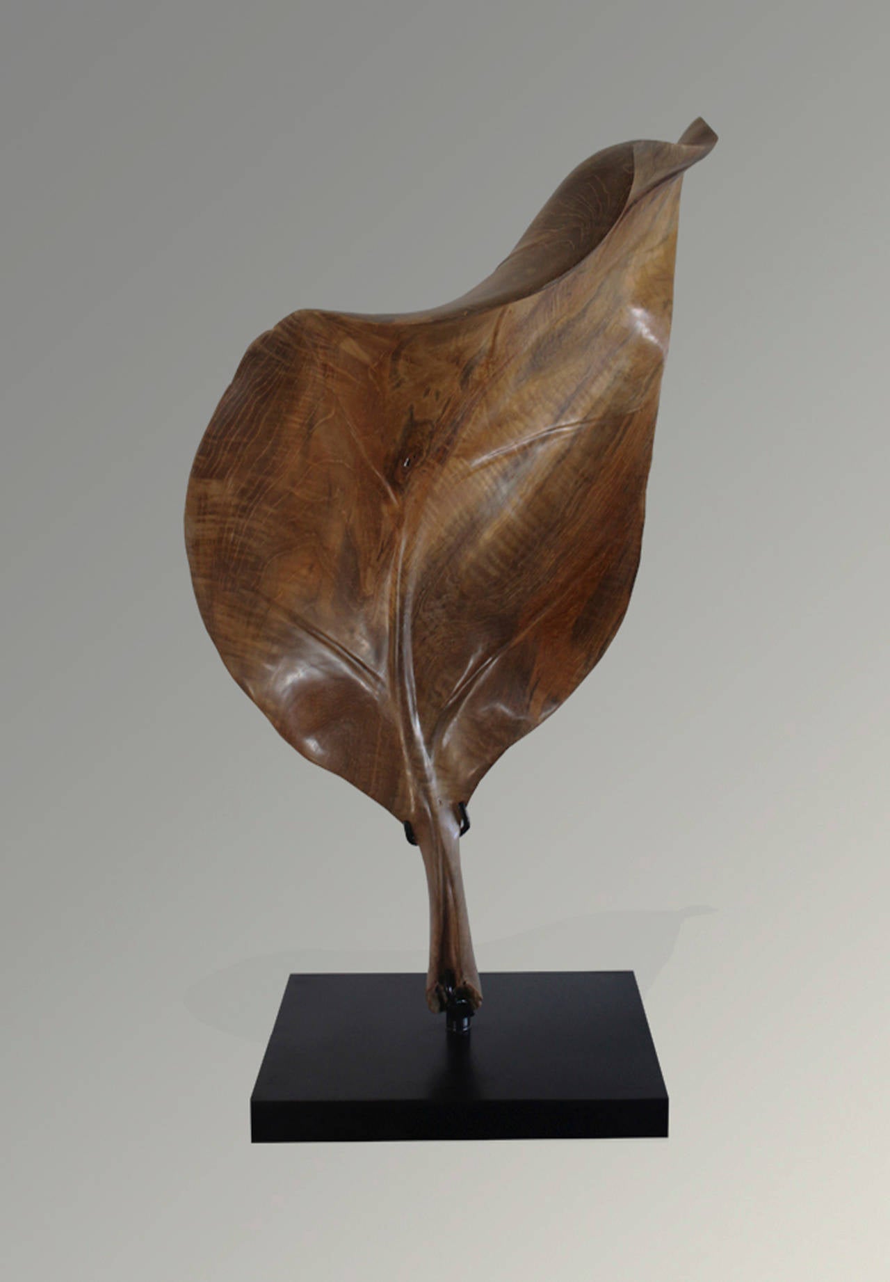 Beautifully hand-carved palm leaf sculpture made from one-piece of reclaimed teak wood. Dramatic yet understated, this piece is set on a modern black stand.

Measure: 10