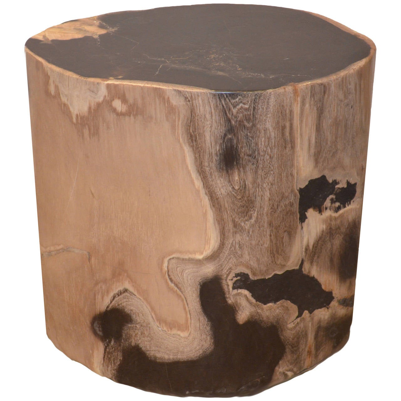 Petrified Wood Side Table at 1stDibs