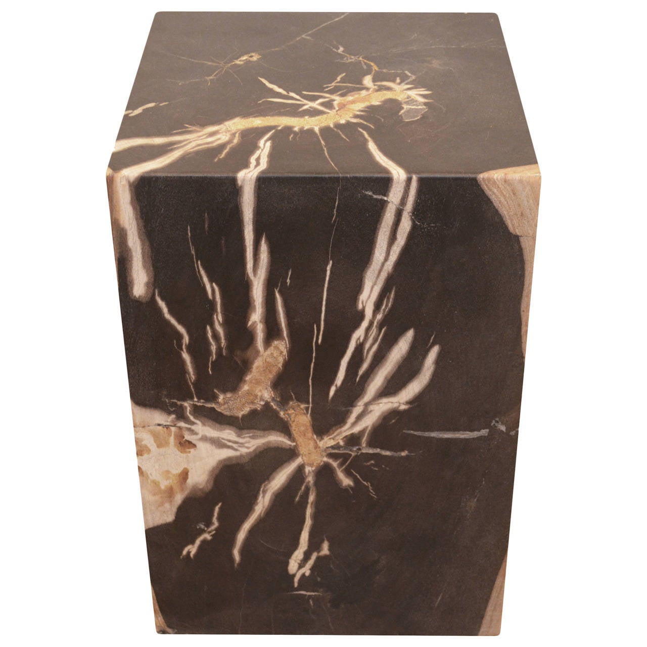 Petrified Wood Side Table at 1stdibs