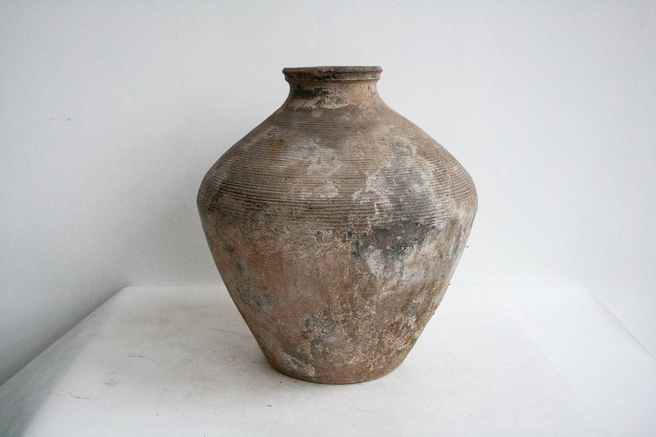 Large round bellied rice pot ending in flat top with wide mouth. From Xi'An, Shaanxi province, China.
Western Zhou dynasty
TL certificate nr 44B101114