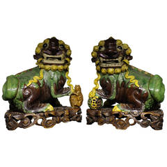 A pair of Chinese lion dogs (Shishi) on carved wood bases