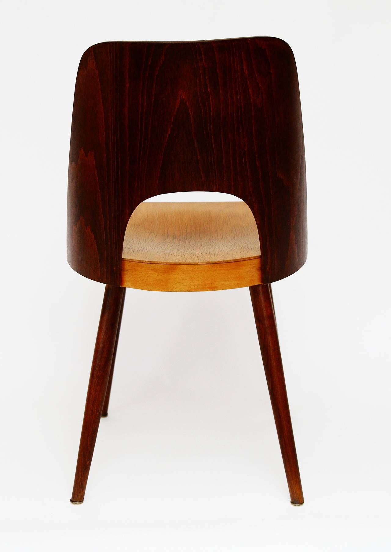Austrian Viennese Bicolored Chair in Beech by Oswald Haerdtl for Thonet, 1950s