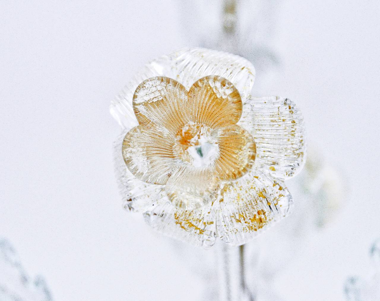 Italian Floral Murano Glass Chandelier Gold, 1940s