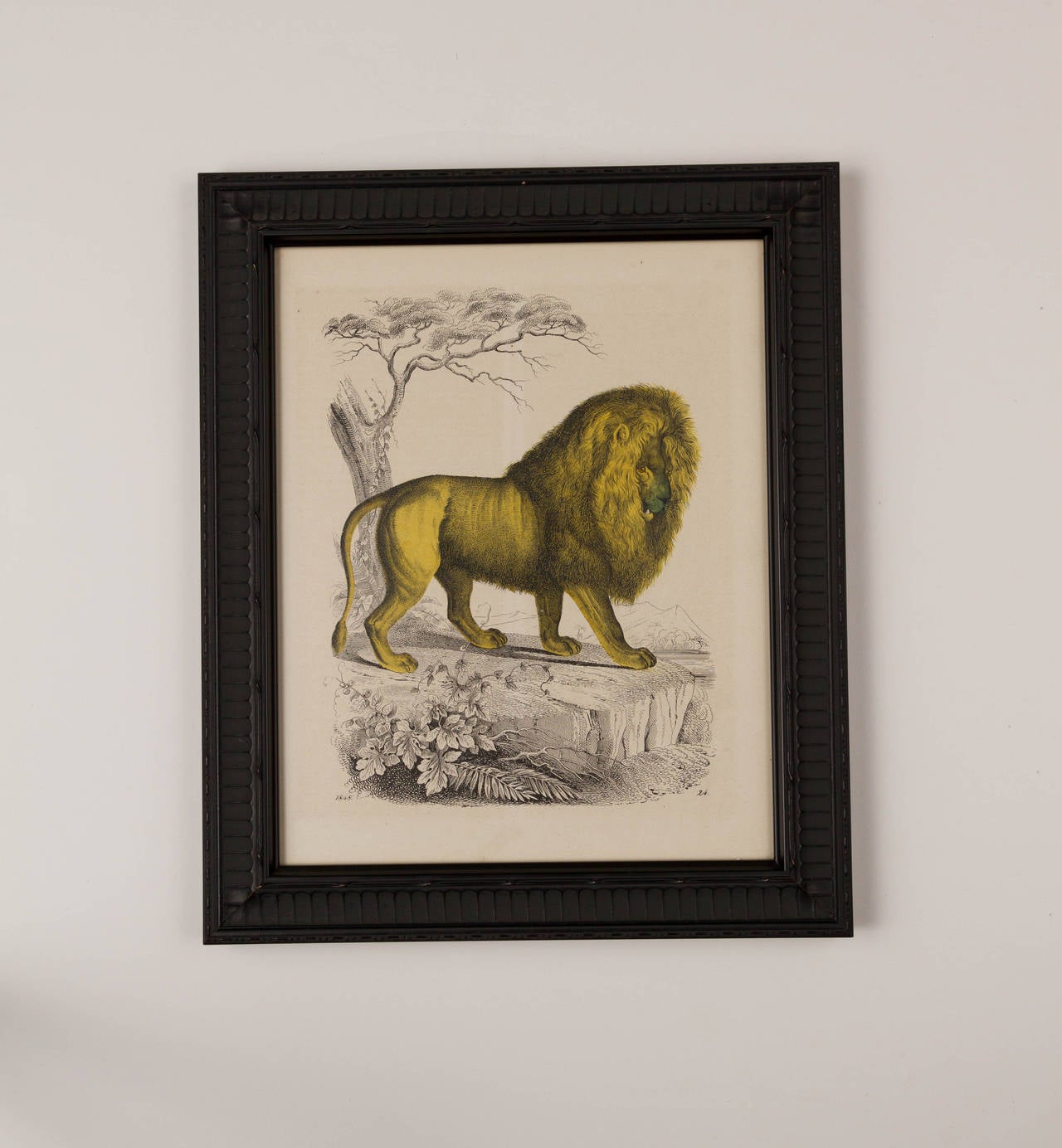 Set of Six Zoological Prints, 1864  For Sale 3