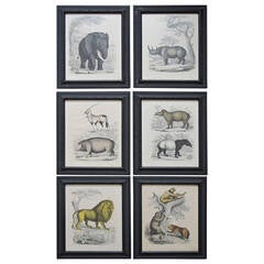 Set of Six Zoological Prints, 1864 