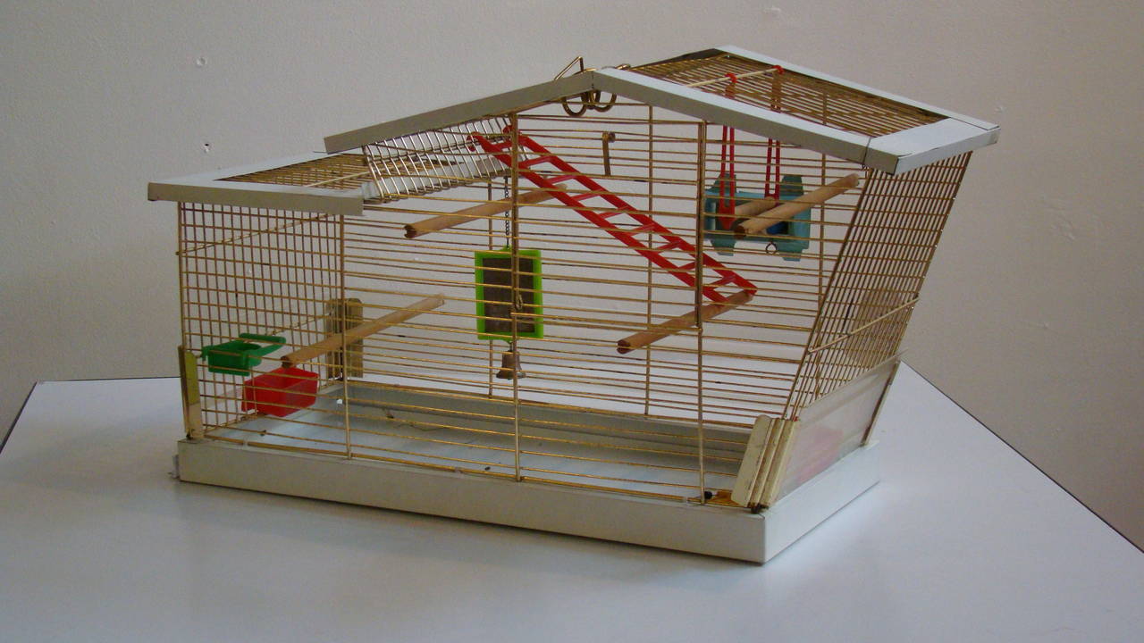 modern bird cages