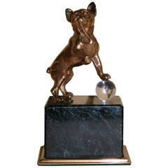 Antique Austrian Bronze of French Bulldog on Marble Base