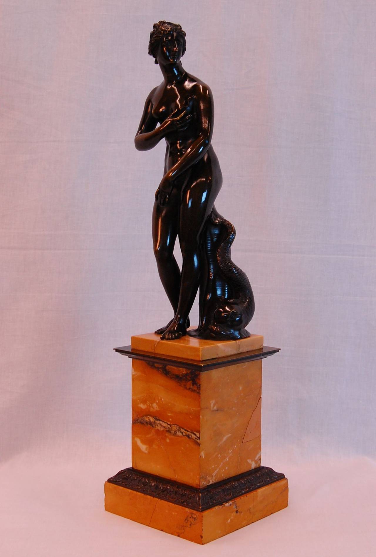 Bronze Venus de Medici with Dolphin of the Grand Tour, Late 19th Century In Good Condition In Pittsburgh, PA