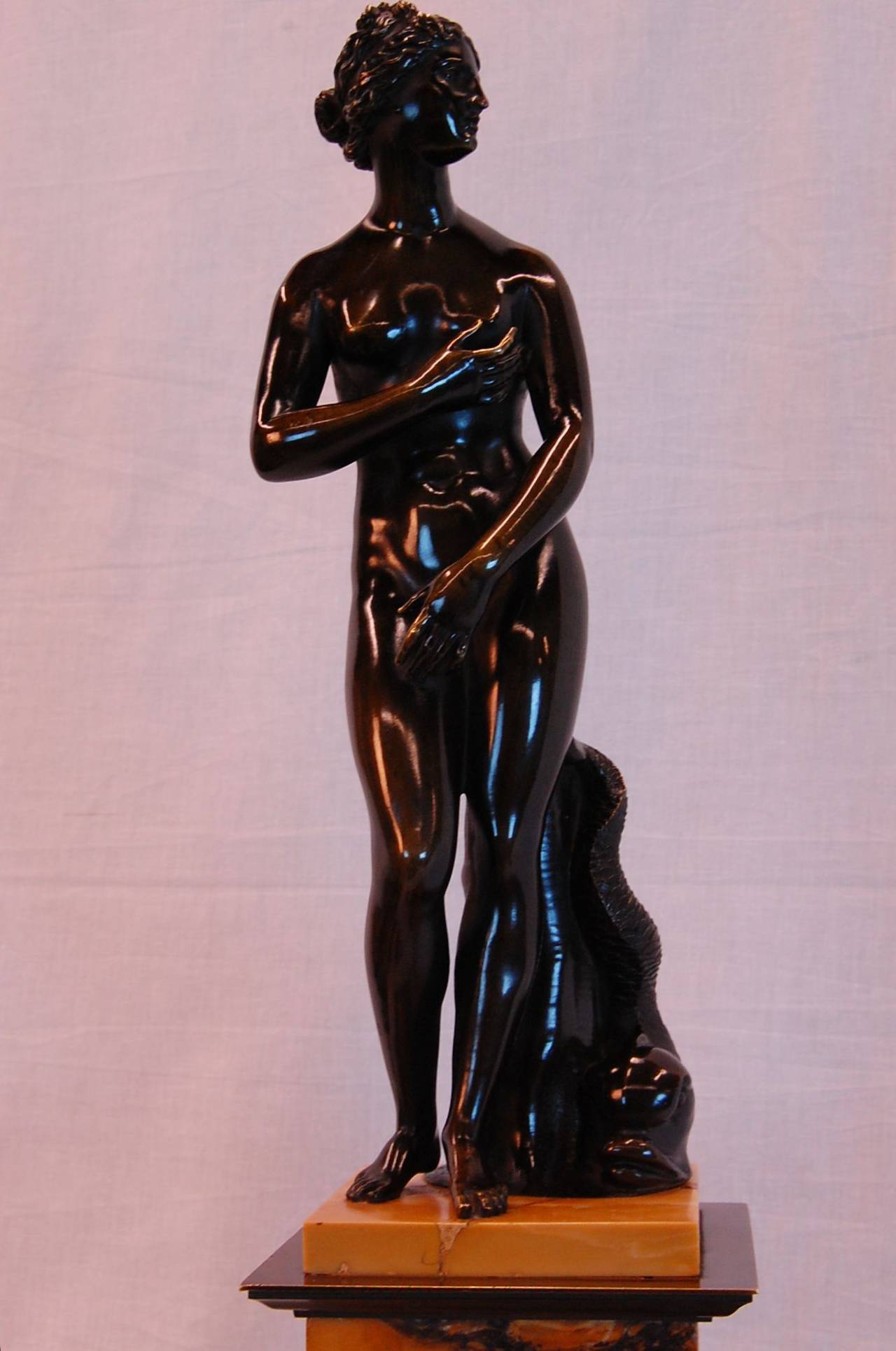 Bronze Venus de Medici with Dolphin For Sale at 1stdibs