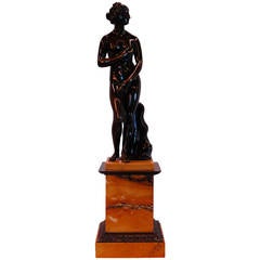Bronze Venus de Medici with Dolphin 4