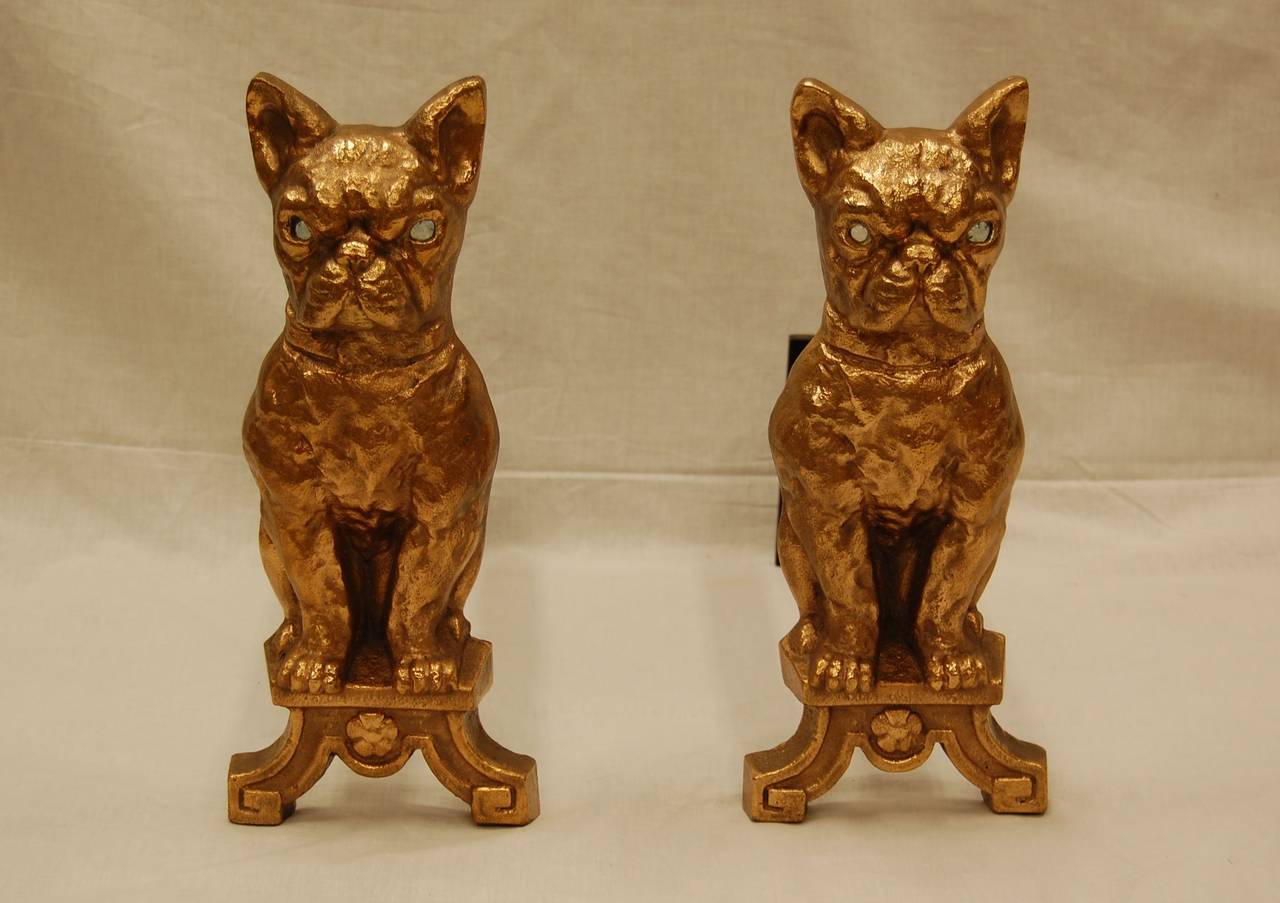 Pair of solid brass andirons in form of French Bull or Boston Terriers with original clear glass eyes. The brass has been polished and lacquered but the metal still retains some of the original roughness from casting.