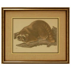 Framed and Matted 19th Century Animal Aquatint Print