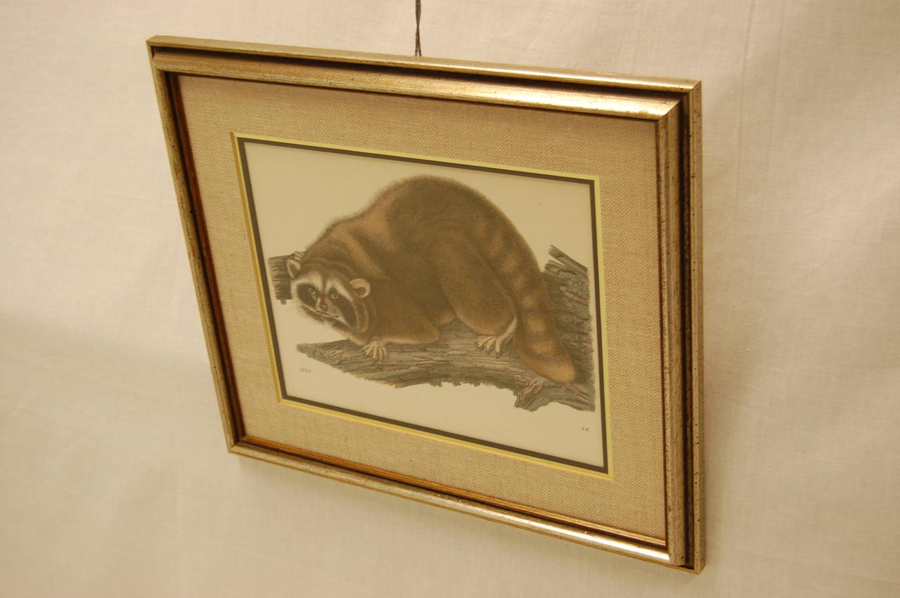 Framed and Matted 19th Century Animal Aquatint Print 1