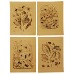 Antique Set of Four German 19th Century Hand-Colored Lithographs