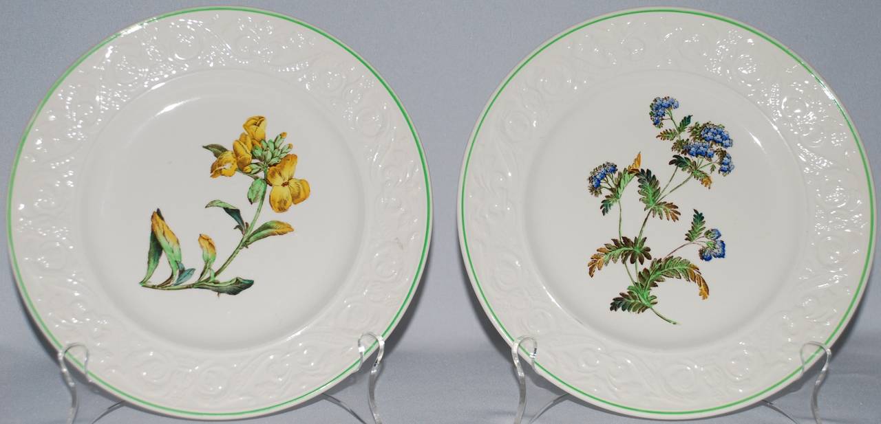 Set of eight vintage Copeland Spode botanical dinner plates with figured floral border & green trim. 
9