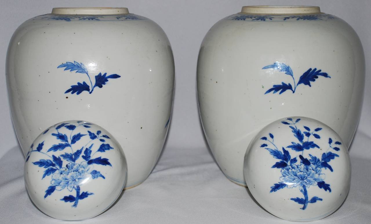 Vintage pair blue and white Chinese lidded ginger jars. 
Dimension: 11.5