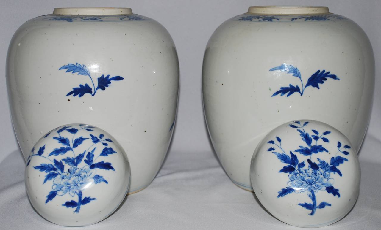 Paire de pots à gingembre bleus et blancs vintage