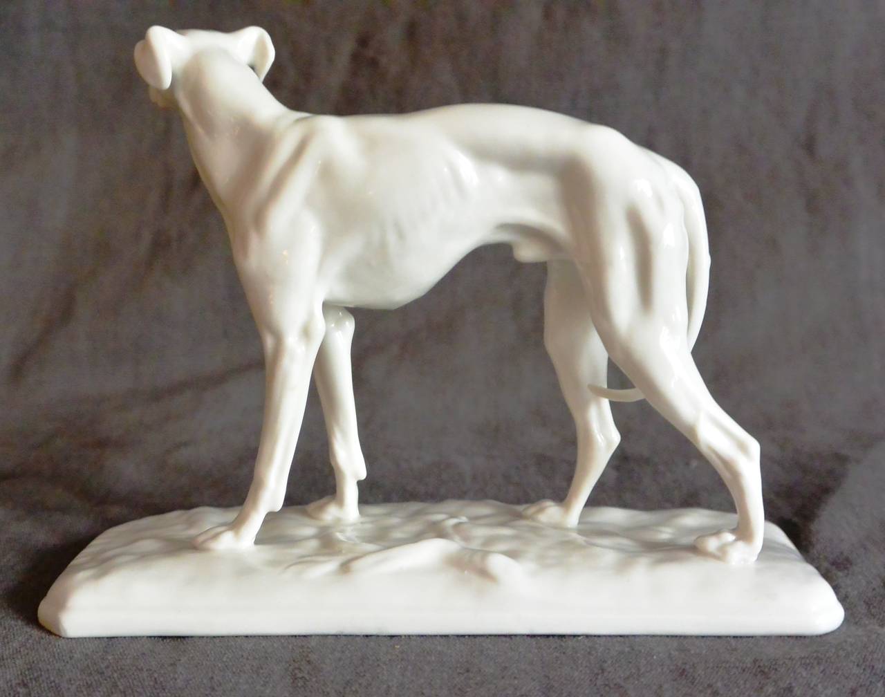 greyhound porcelain