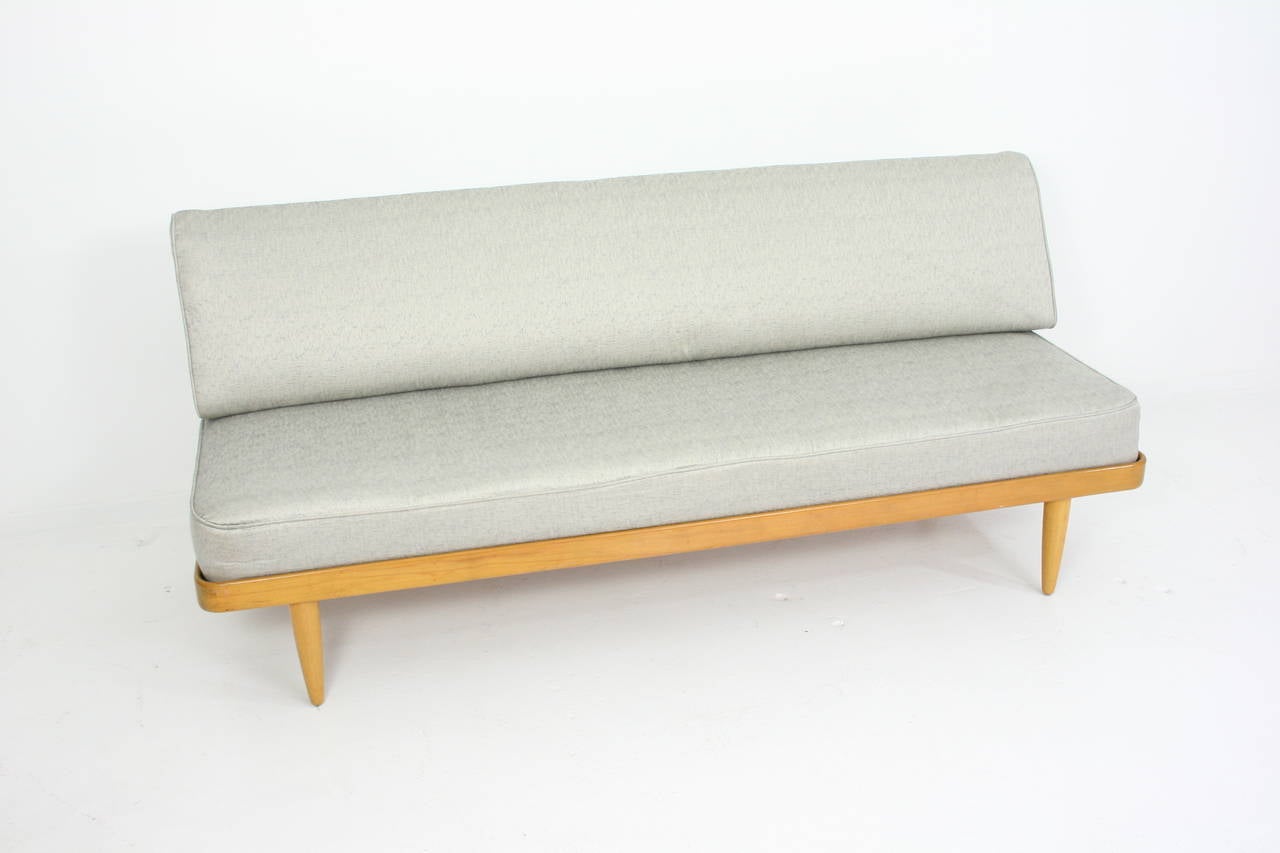 Mid-Century Modern Teak Sofa or Daybed by Peter Hvidt for France & Son, Mid-Century Danish Modern