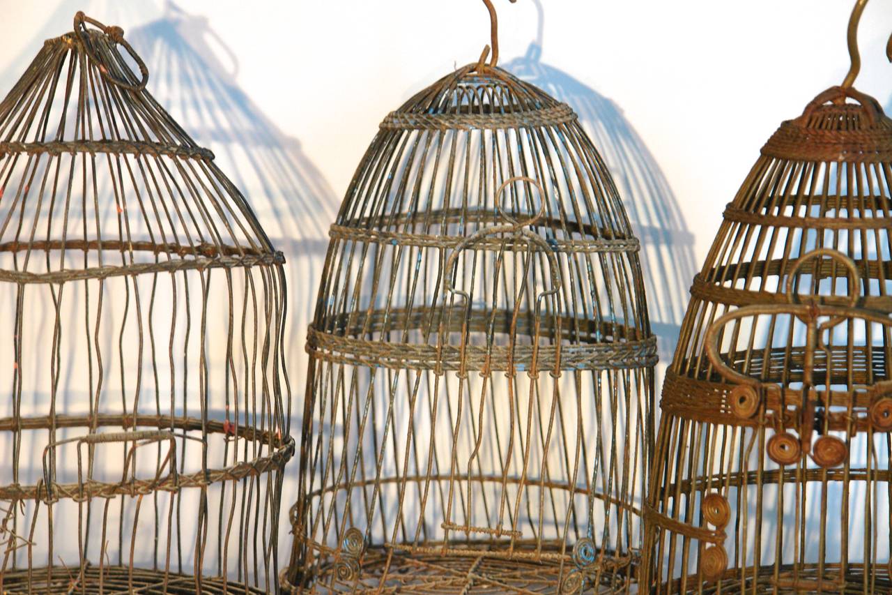 tunisian bird cage