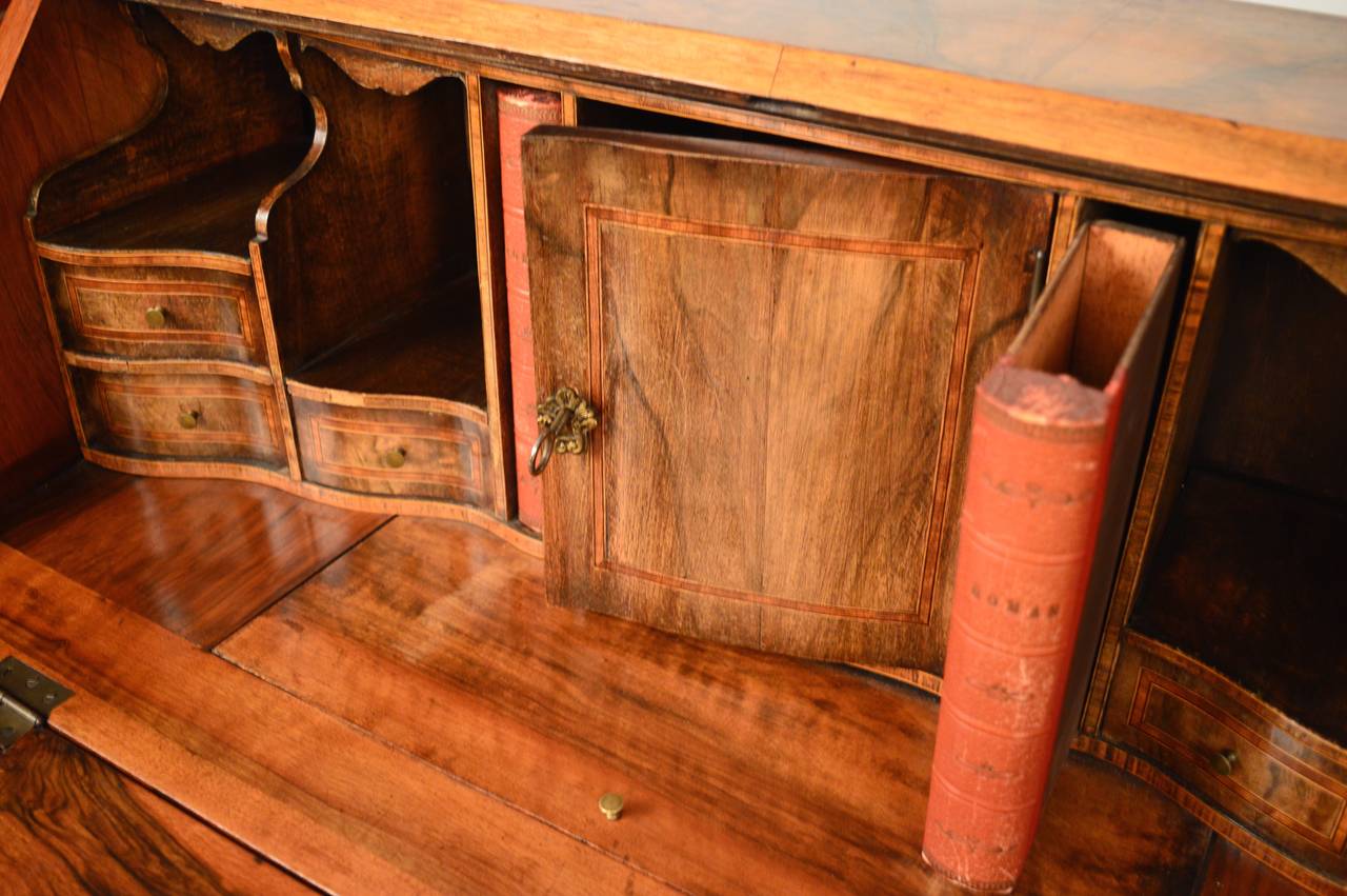 Veneer Dutch Rococo Style, Bombe-Form Burled Walnut Secretary