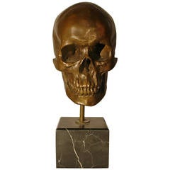 American vintage cast bronze skull on marble base signed Goldmann