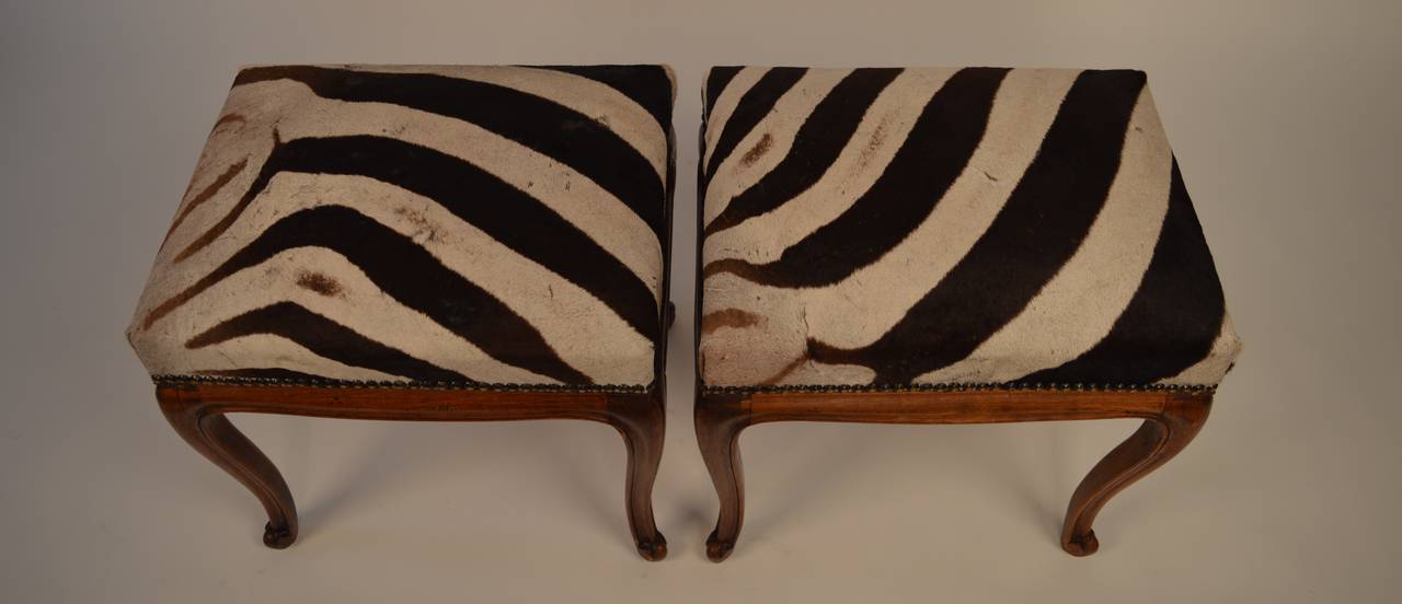 A pair of French Louis XV style benches with zebra upholstery 2