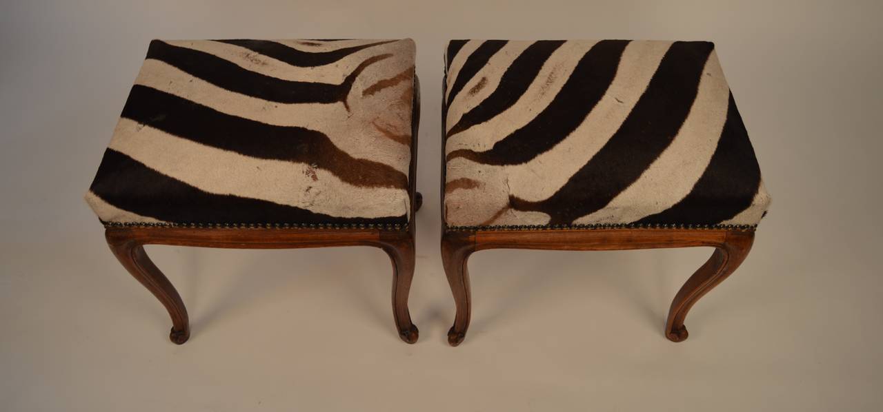 A pair of French Louis XV style benches with zebra upholstery 1