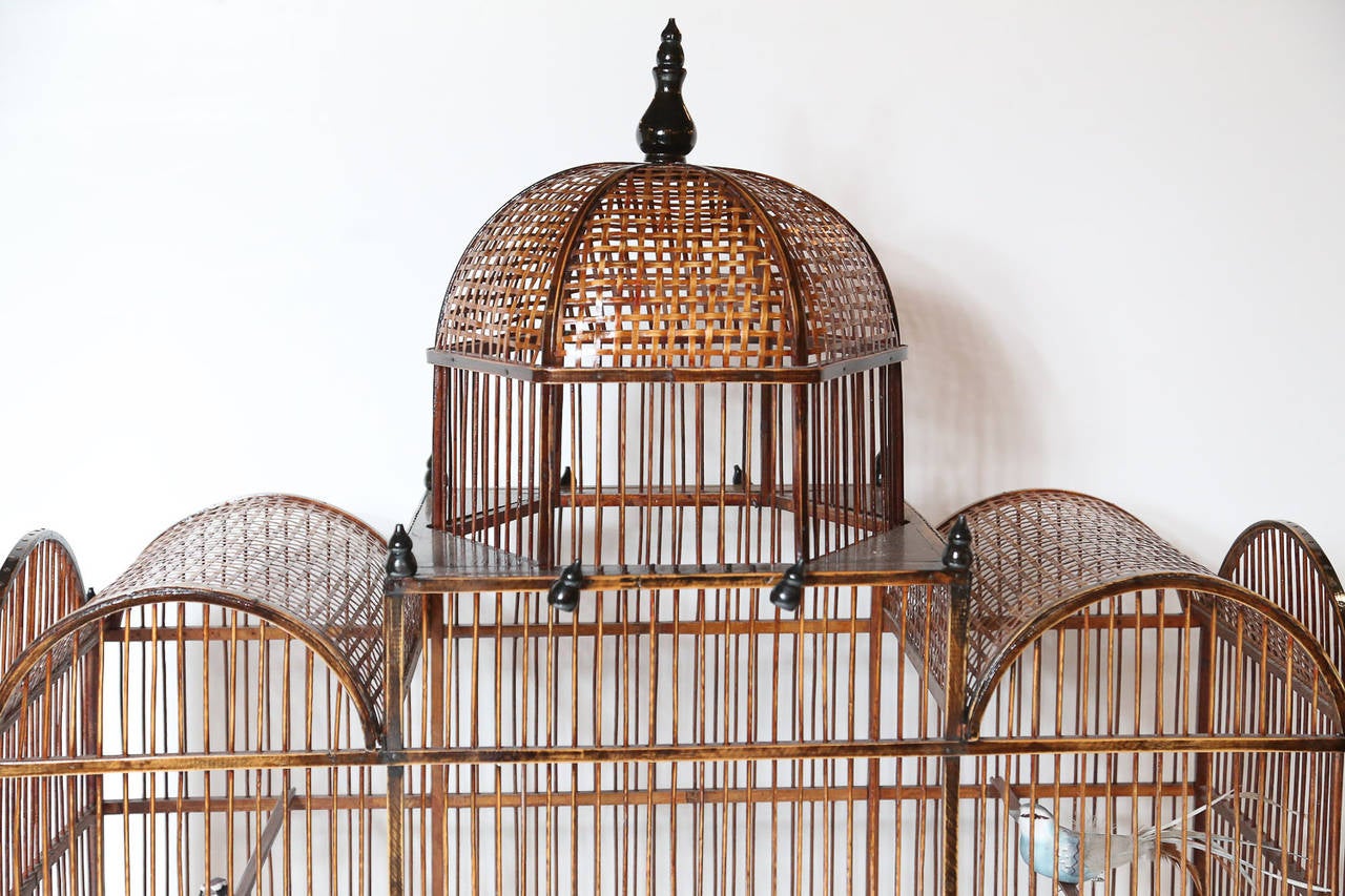 Very sweet birdcage that we feature hanging on wall in shop entry.

The cane dome and arched ends add lots of character.

Tray below slides out for cleaning, although has never housed
live birds.